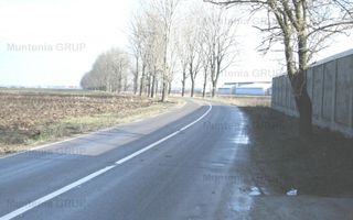 AFUMATI - Tarla 9, teren agricol in suprafata de 35.000 mp. - Poză 3