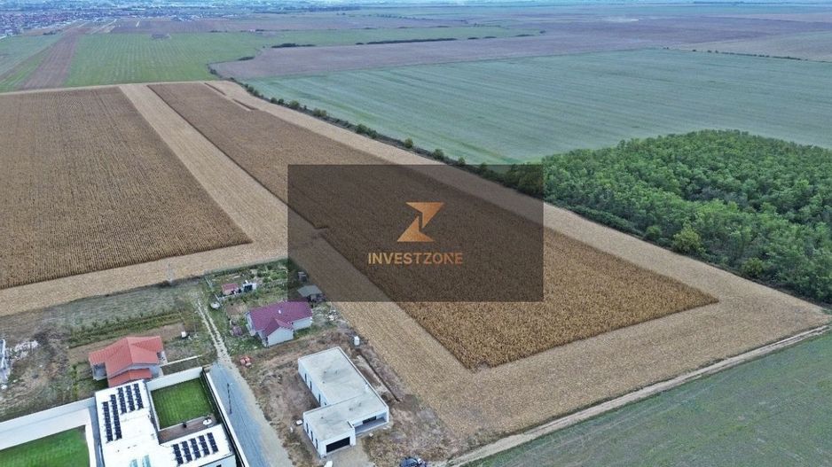 27.200 mp comuna Santandrei - Bihor - Oradea - Poză 3