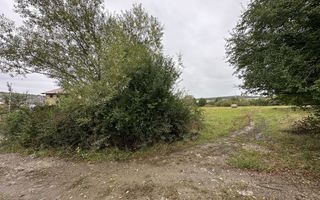 Teren intravilan 5.017 mp in Cisnadie, Sibiu - Poză 6