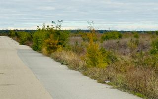 Teren extravilan Chitila/Mogosoia 15895mp - Poză 5