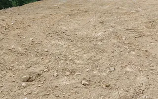 5000 teren in Muntii Apuseni I Pregatit pentru constructie - Poză 21
