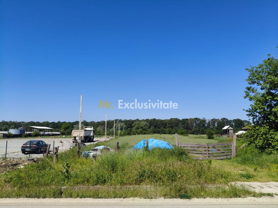 Teren 10.294 mp de vânzare Târgu Jiu | Intravilan + Extravilan | Utilități - Poză 9