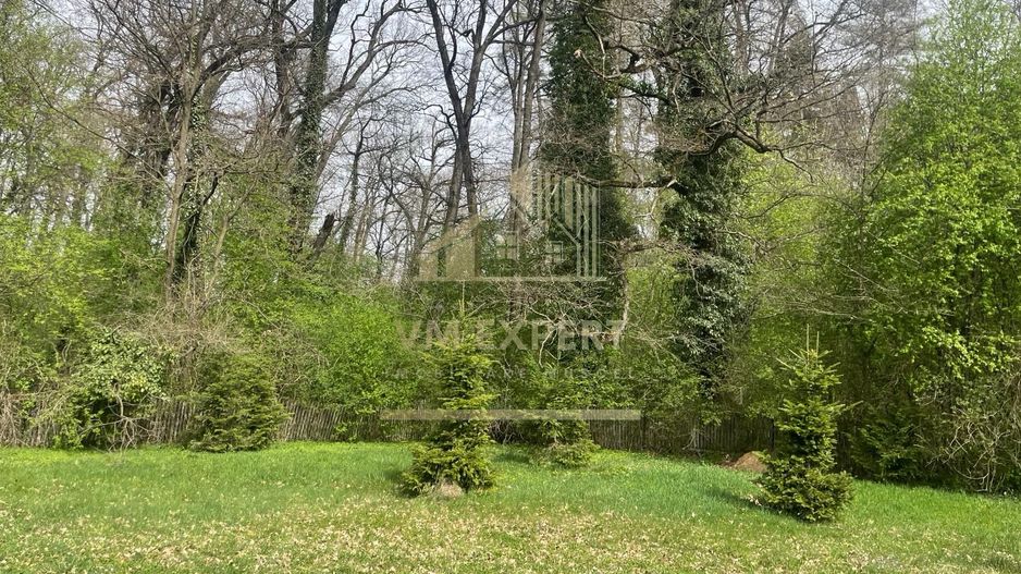 TEREN INTRAVILAN 1800 MP MIHAESTI ARGES COMISION 0 - Poză 3