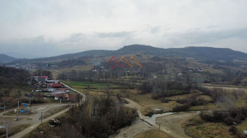 Teren 36000 m2, intravilan+partial extravilan, cadastru, Draganeasa PH - Poză 8