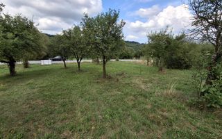 De vânzare teren extravilan în Sibiel, jud. Sibiu – 3223 mp - Poză 10