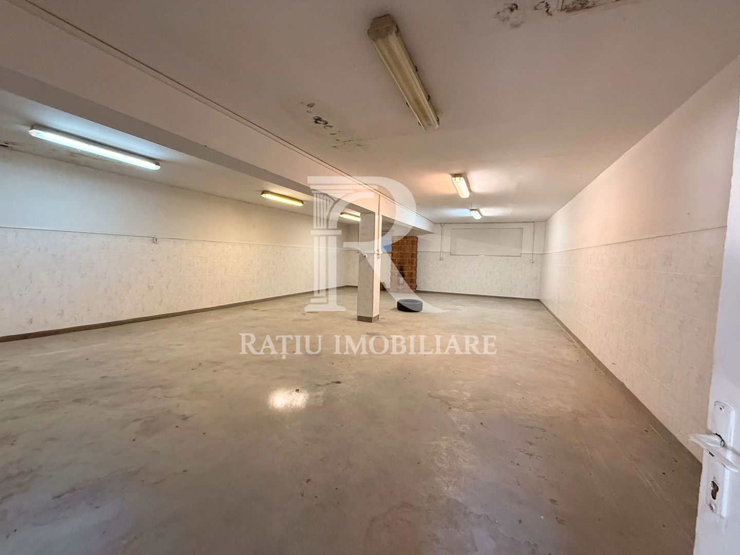 Casă cu Hală Industrială | Teren 3.200 mp | Ineu | Bihor - Poză 22