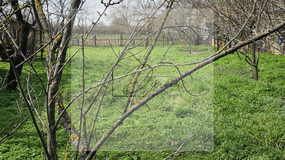 Teren intravilan 2619 mp cu 2 case  - Ciocanesti Jud. Dambovita - Poză 4