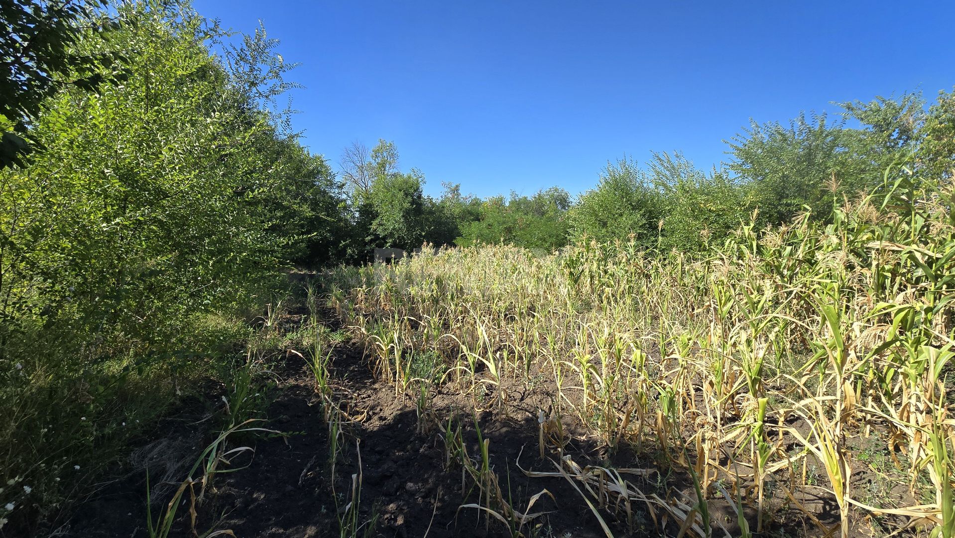 10 ari pentru construcții agroindustriale - Poză 8