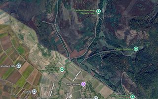 Teren extravilan - 8000 mp, Gusterita - Poză 5
