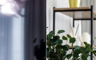 2 Camere - Scandinavic Design - Herastrau One Plaza - Poză 8