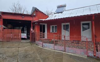 Proprietate cu două case| Comuna Fartatesti - Poză 3