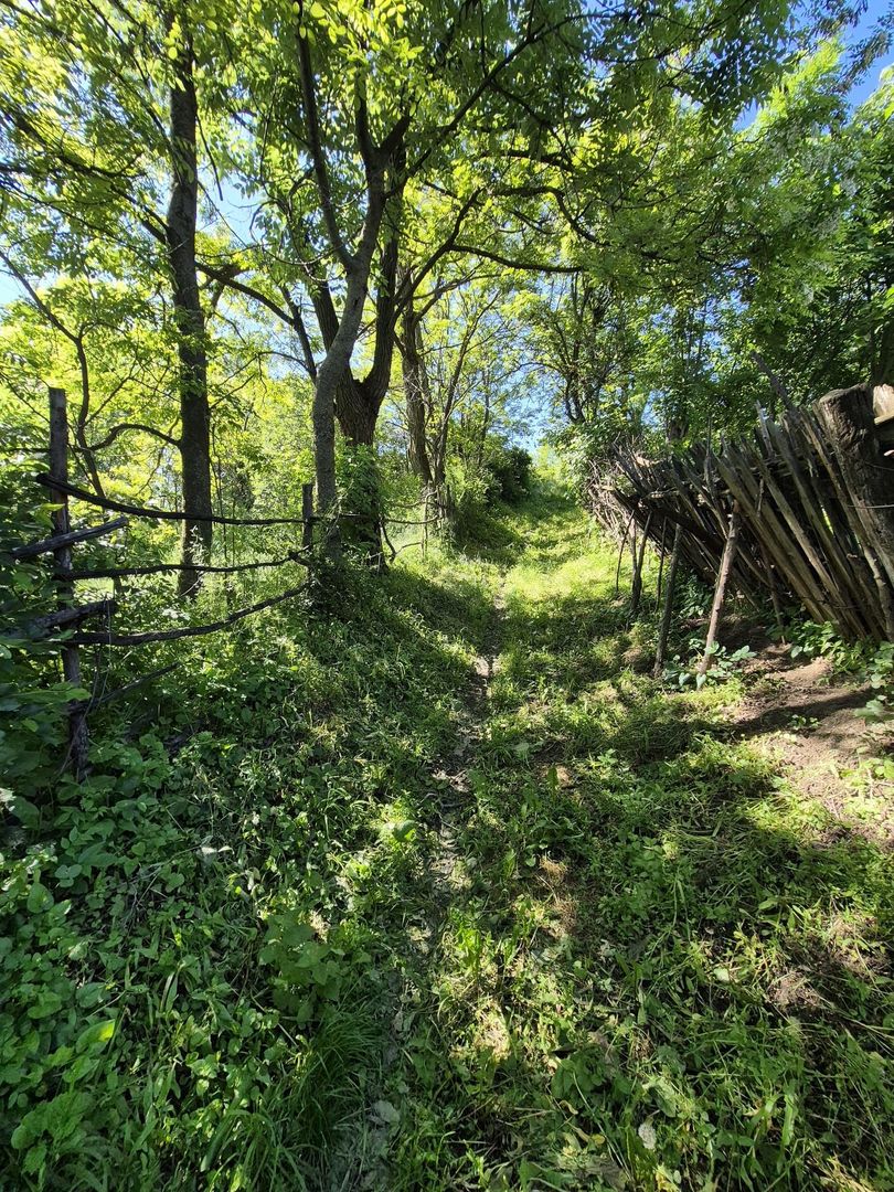 Teren intravilan 1290 mp Plaiu-Provita de Sus - Poză 5