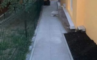 casa de inchiriat - Poză 1