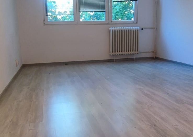 Apartament cu 3 camere ...Valea Oltului - Poză 16