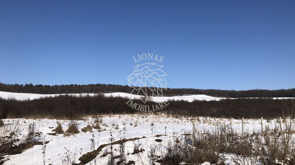 Teren 10000 si o parcela de 50 ari-oportunitate investitie-Jelna - Poză 2