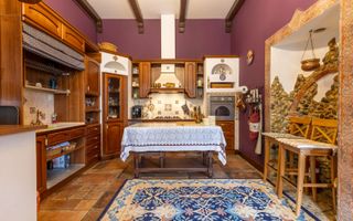 Casa din secolul XIX, ultrafinisata, ultracentral, 855 mp teren - Poză 11