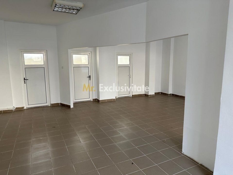 Vânzare/Inchiriere Spațiu Comercial 145,55 mp, Zona Kaufland - Carei - Poză 19