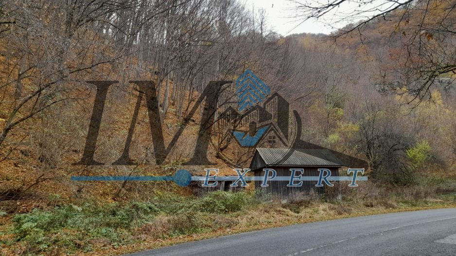 Teren extravilan direct la șoseaua TRANSALPINA - Poză 2
