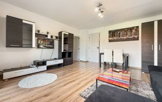 Apartament 2 camere, zona Complex-Printul Turcesc.