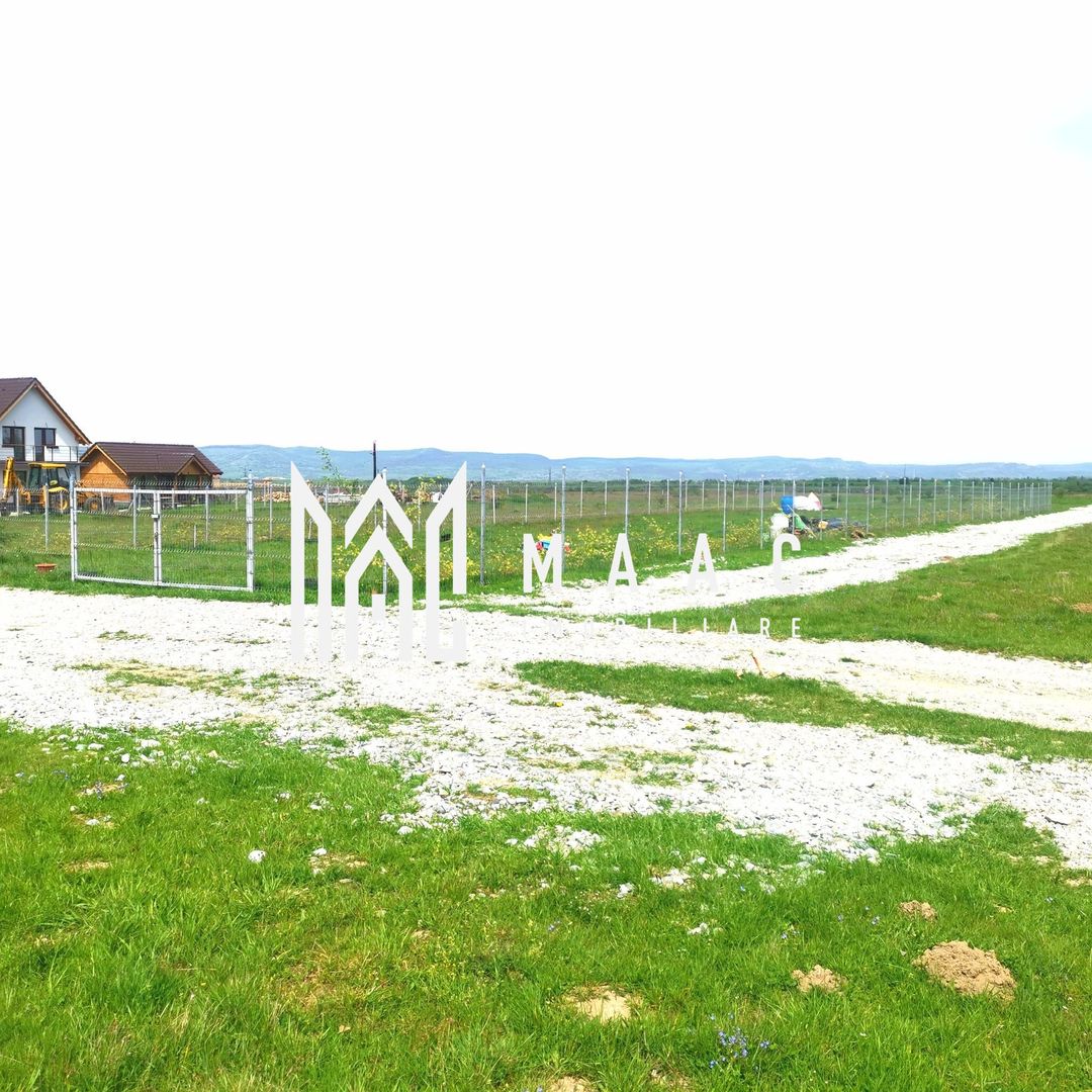 Teren Extravilan | 8.000 MP | Utilități | Acces Facil | Zona Valea Avrigului - Poză 2