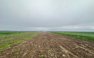 Teren extravilan de vanzare - Gura Raului - Poză 2