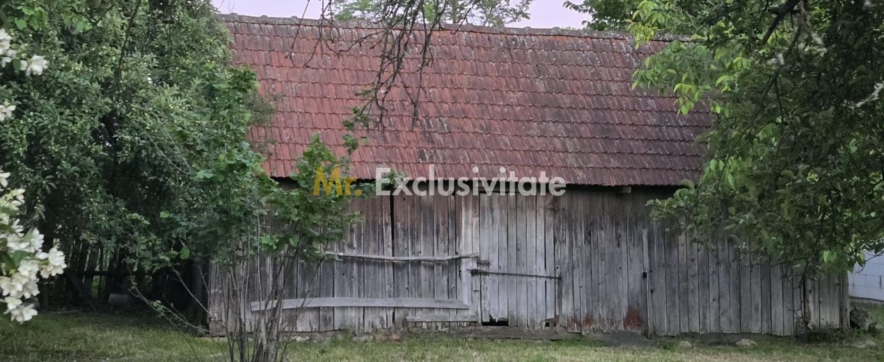 Casă cu 7.769 mp teren și pădure | Budieni | 53.000€ - Poză 11