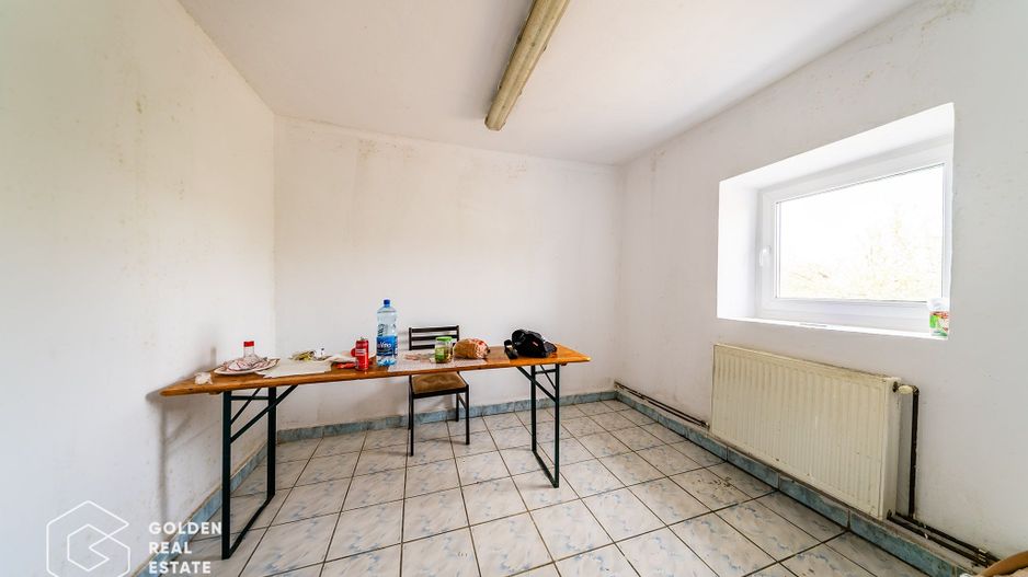 Hala industriala, Pecica, județul Arad - Poză 18