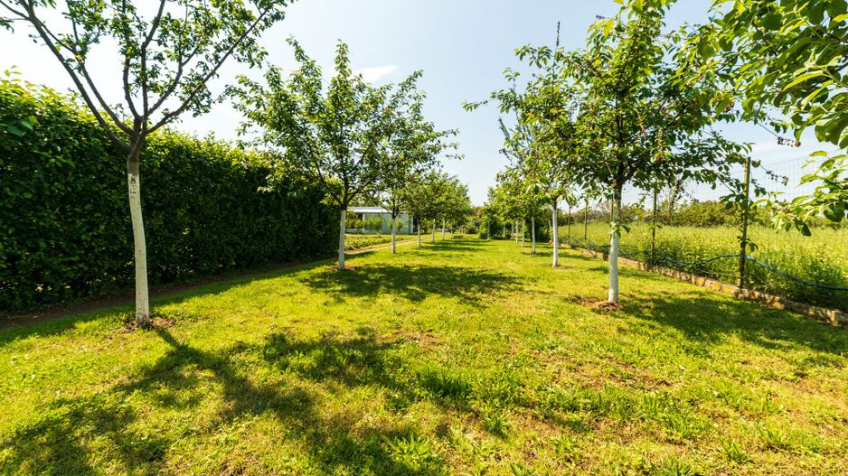 Nou! Casă frumoasă în Sâmbăteni - Poză 24