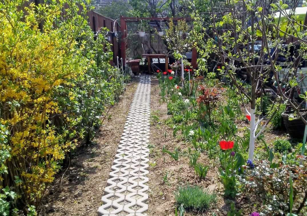 Casă cu două apartamente și teren generos în zona Iulius Mall. - Poză 2