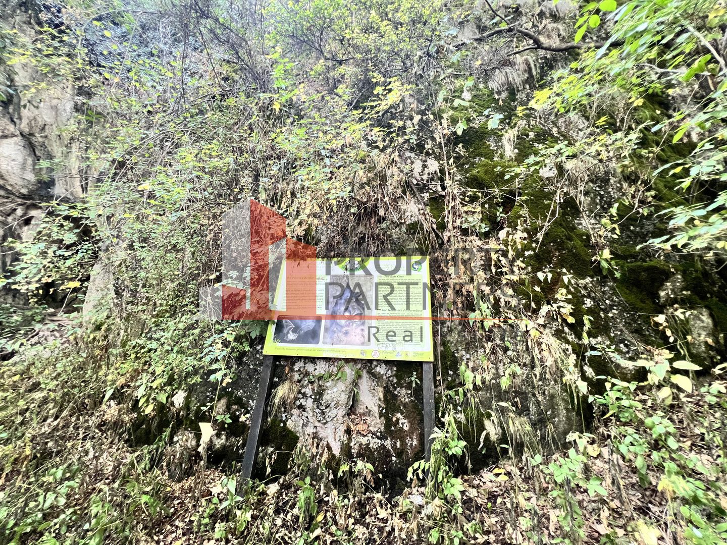 Teren de vânzare langa  Peștera Liliecilor  in Sat Pestera - Poză 8