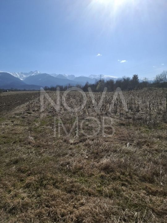Teren extravilan de vanzare - Arpasul de Sus - Poză 4