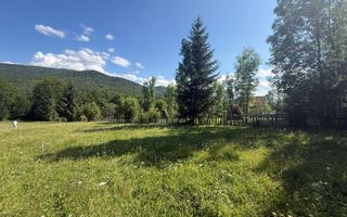 Teren intravilan 1662 mp pozitie superba-Calea Brasovului Valea Neagra - Poză 2