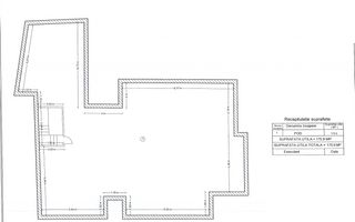 Raritate Parc Carol | Vila neoromânească curte libera 165mp - Poză 13