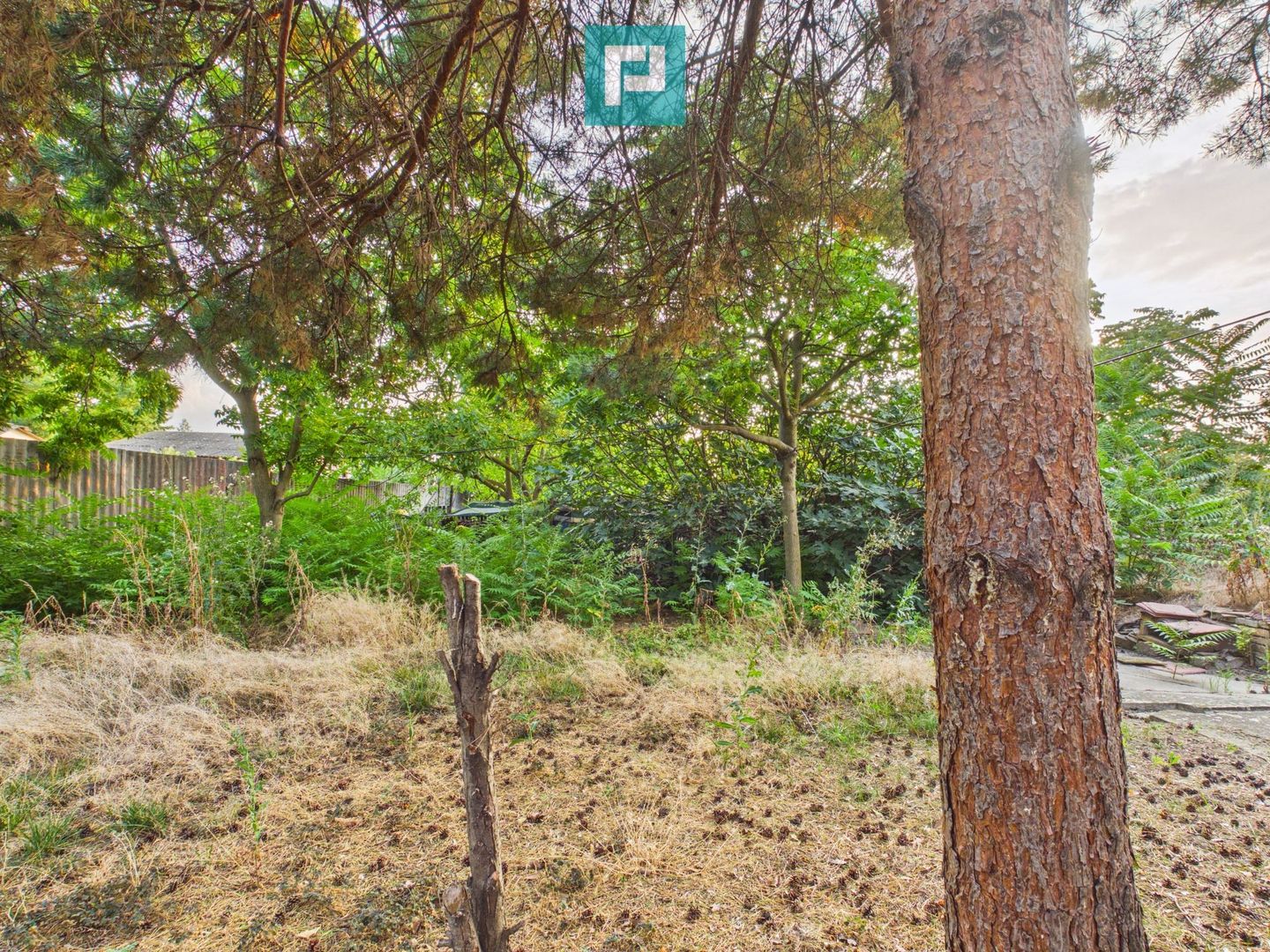 Casă modestă cu 3 camere din văiugă în Bătania - Poză 6
