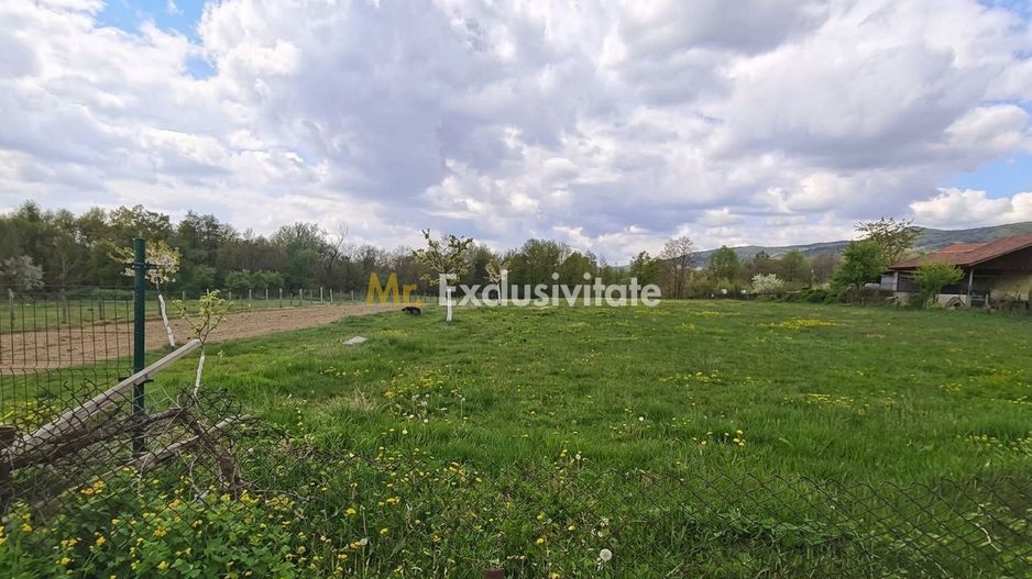 Teren mixt de vânzare Crasna Gorj, aproape de Rânca– 19.209 mp - Poză 1