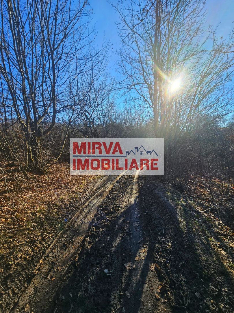 Teren intravilan 1.000 mp – Seciu, 2 deschideri, Priveliște panoramica - Poză 16
