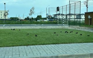 Prima închiriere Apartament 2 camere | Darwin Residence Otopeni–Tunari - Poză 13