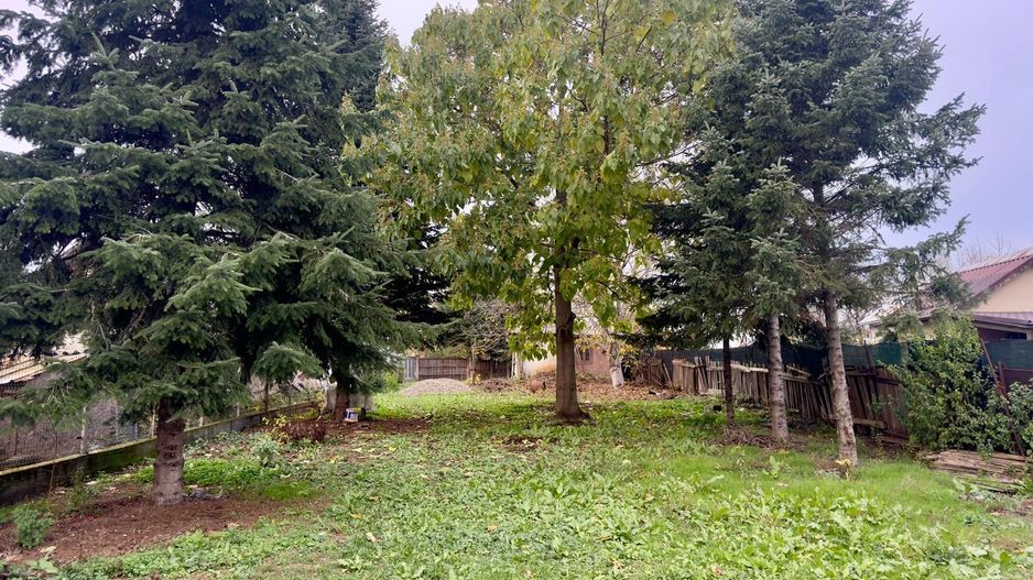 Teren Intravilan | Deschidere Lac Snagov | Ponton | Curatat | Toate utilitatile - Poză 12