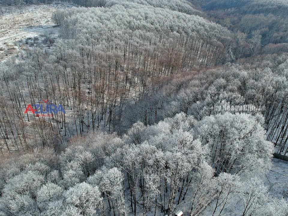 COMISION 0% -Casa deosebita Ciocanai - Poză 46