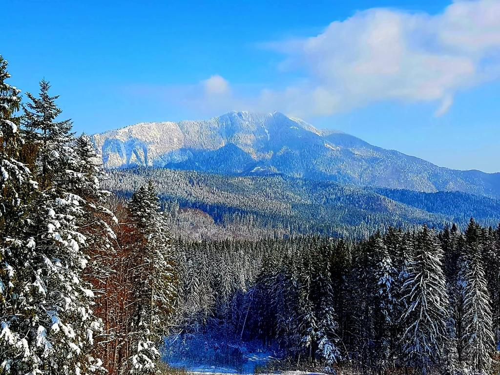 Aparthotel cu view superb Valea Prahovei - Poză 5