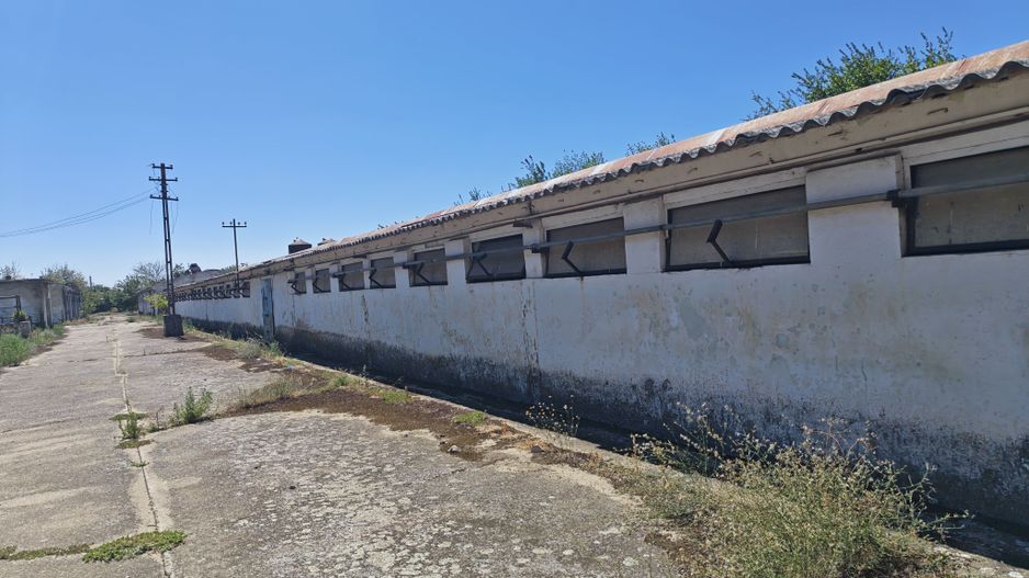 Spațiu industrial -fermă Orțișoara - Poză 7