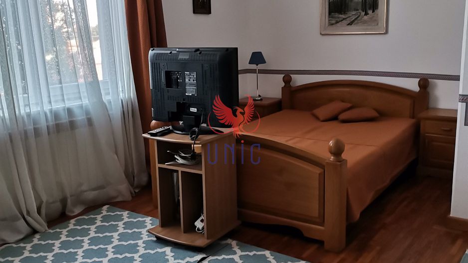 Vila Brazda lui Novac zona Paltinis - Poză 20