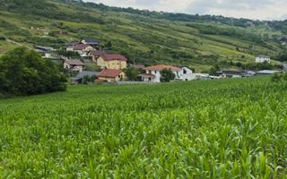Teren extravilan parcelabil de 9.300 mp în Dorobanți/Aroneanu, aproape de Baza Nautică - Poză 1
