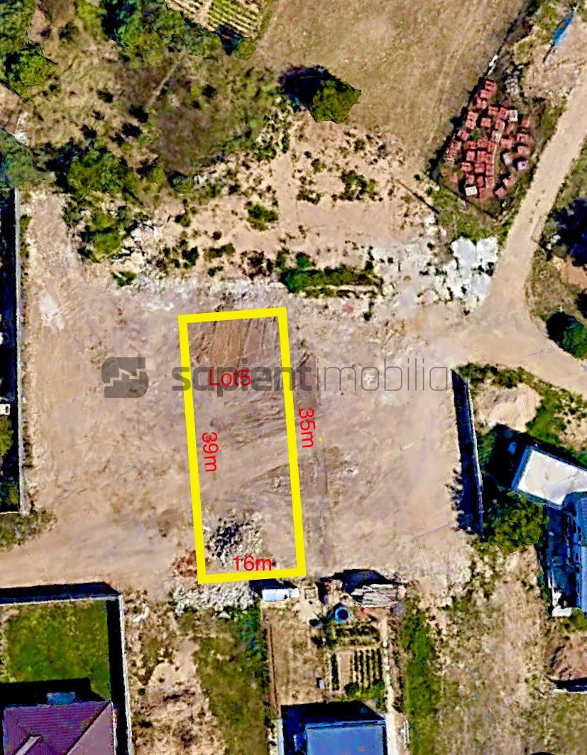 Sapient | Parcele pe str. Plantelor ,Episcopia - Poză 3