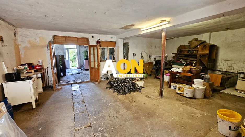 Proprietate cu potențial mixt – locuință și spațiu de lucru în Partoș - Poză 18