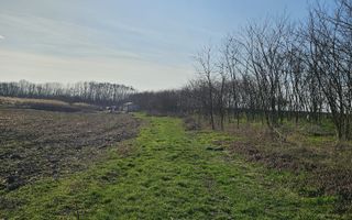Teren extravilan pentru balastiera Biharia - Poză 2