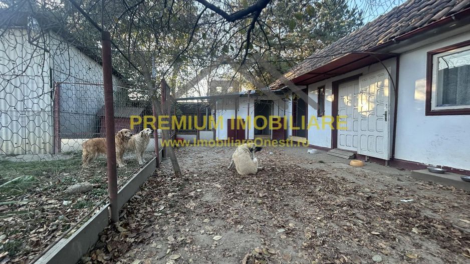 Proprietate multifuncțională cu potențial pentru investiții - Poză 7