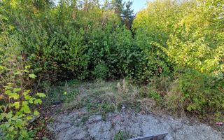 Teren cartier Trivale, langa padure - Poză 3