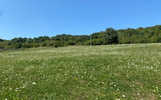 Teren 11.000 mp-ideal cabana/ferma-Unirea-Valea Slatinitei - Poză 6