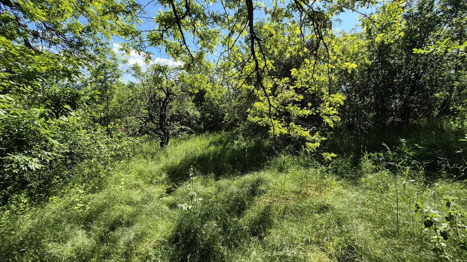 Teren intravilan 1290 mp Plaiu-Provita de Sus - Poză 15